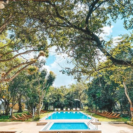 Nivadoo Resort Sigiriya Luaran gambar The swimming pool at the hotel